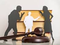 Child Custody Cases and a Mediator